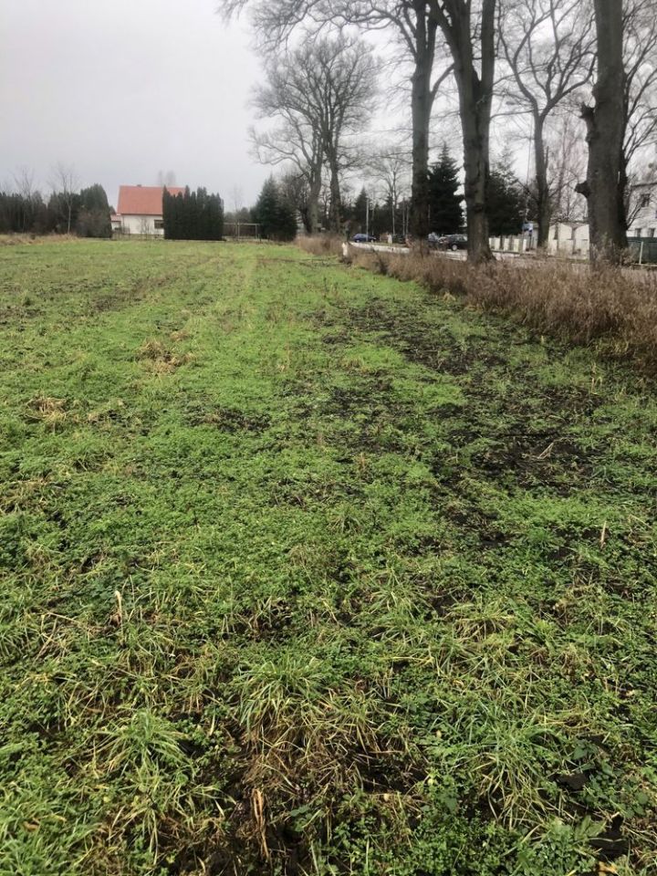 Działka budowlana Rogoźno, ul. Boguniewska