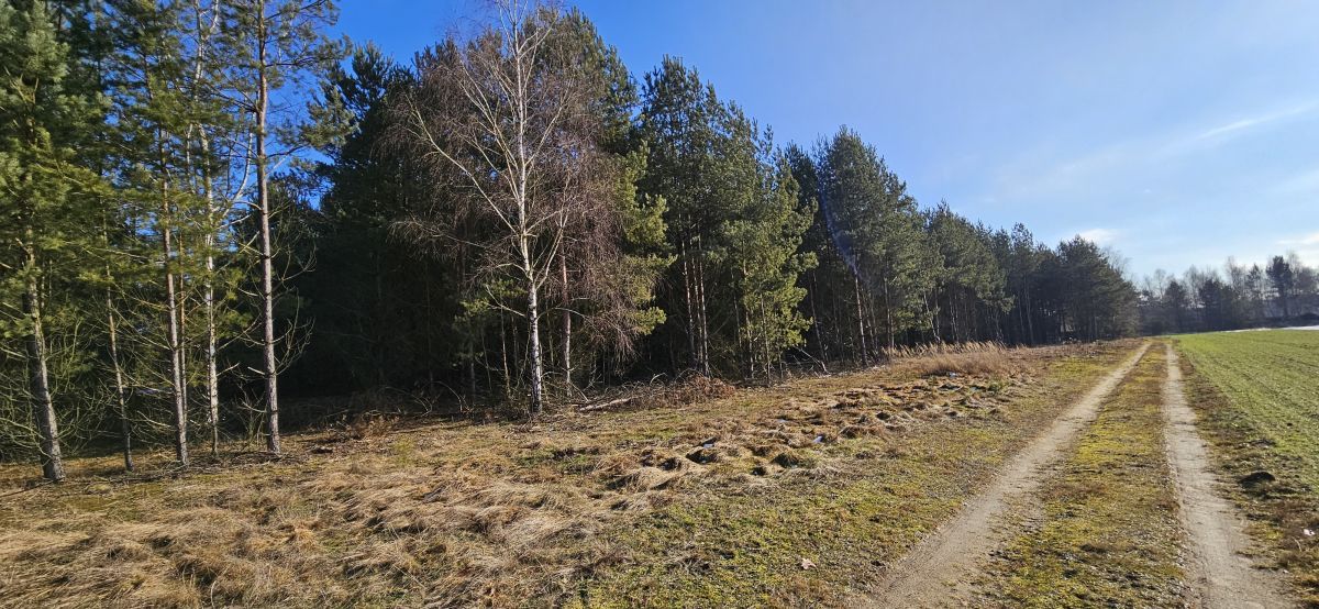 Działka budowlana Drogoszowice