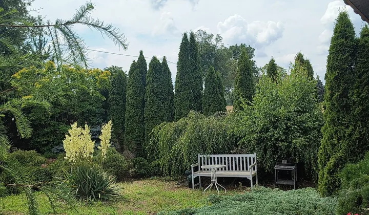 Działka siedliskowa Strachowo