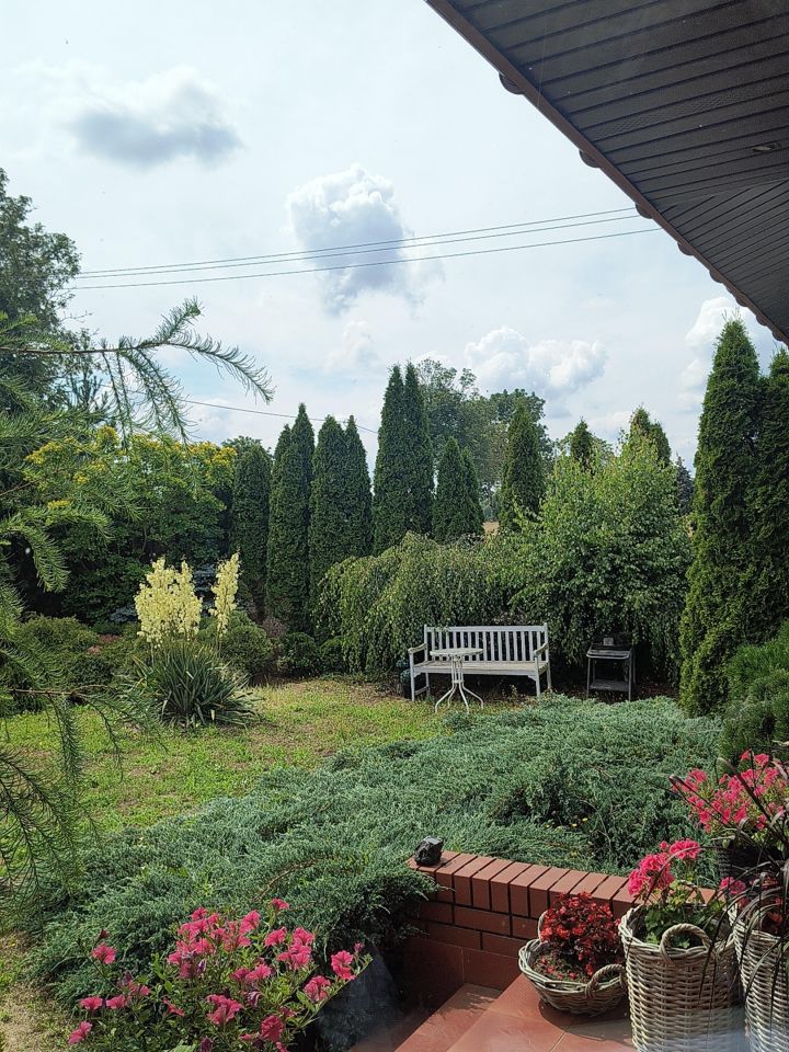 Działka siedliskowa Strachowo. Zdjęcie 2