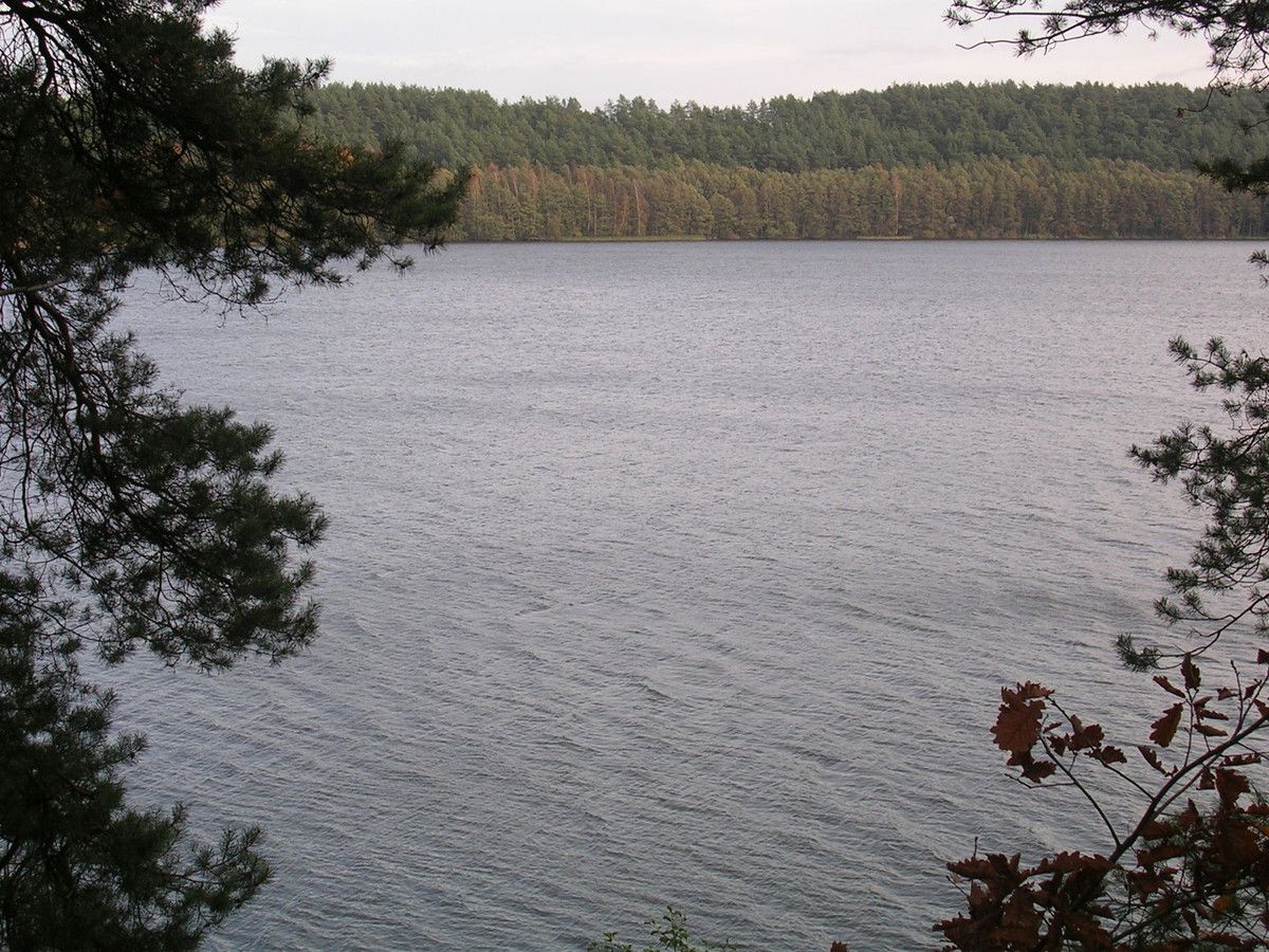 Działka budowlana Borek Kamienny. Zdjęcie 6