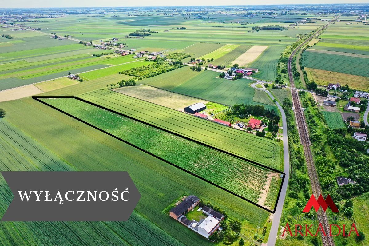 Działka rolna Gołaszewo. Zdjęcie 1