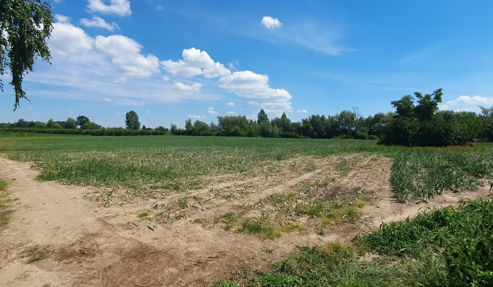 Działka rolna Stare Podole