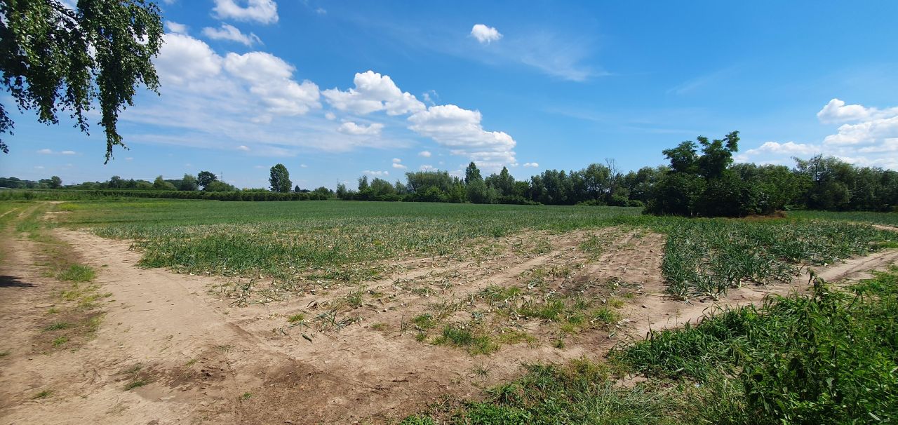 Działka rolna Stare Podole. Zdjęcie 1