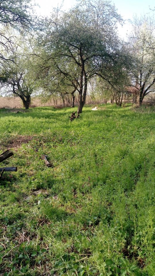 Działka budowlana Przemyśl Przekopana, ul. Okrężna. Zdjęcie 3