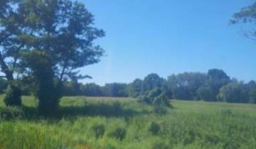 Działka budowlana Jarantów-Kolonia