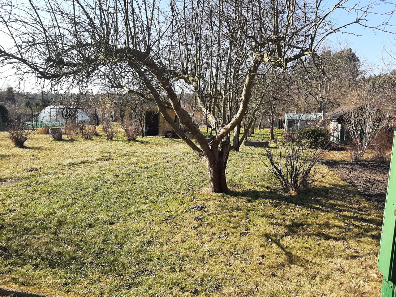 Działka rod Nowa Sól, ul. Zielonogórska. Zdjęcie 2