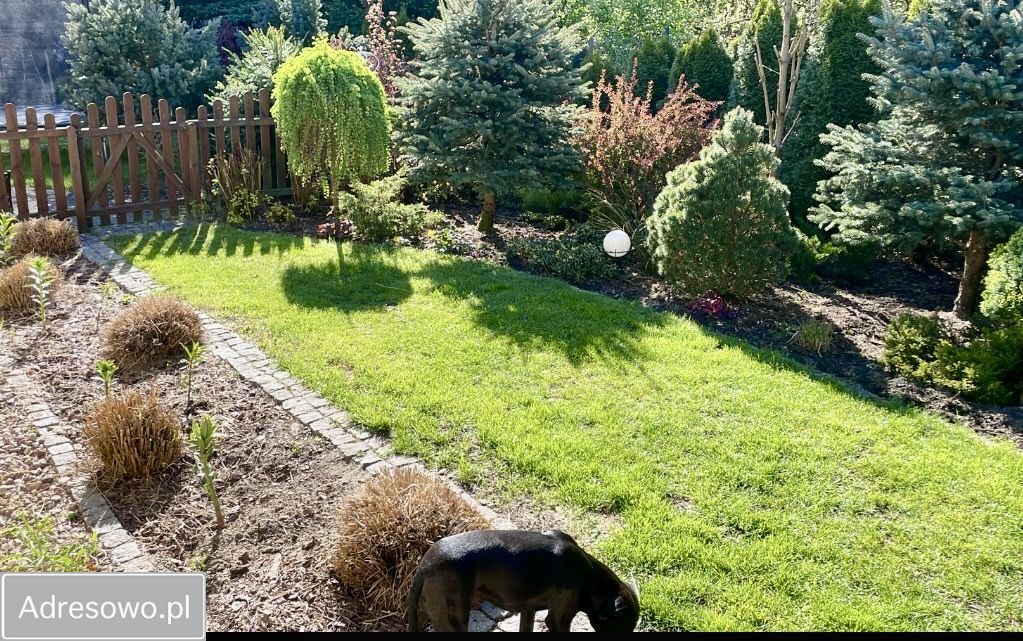 dom wolnostojący, 5 pokoi Zgierz, ul. gen. Kazimierza Pułaskiego. Zdjęcie 13