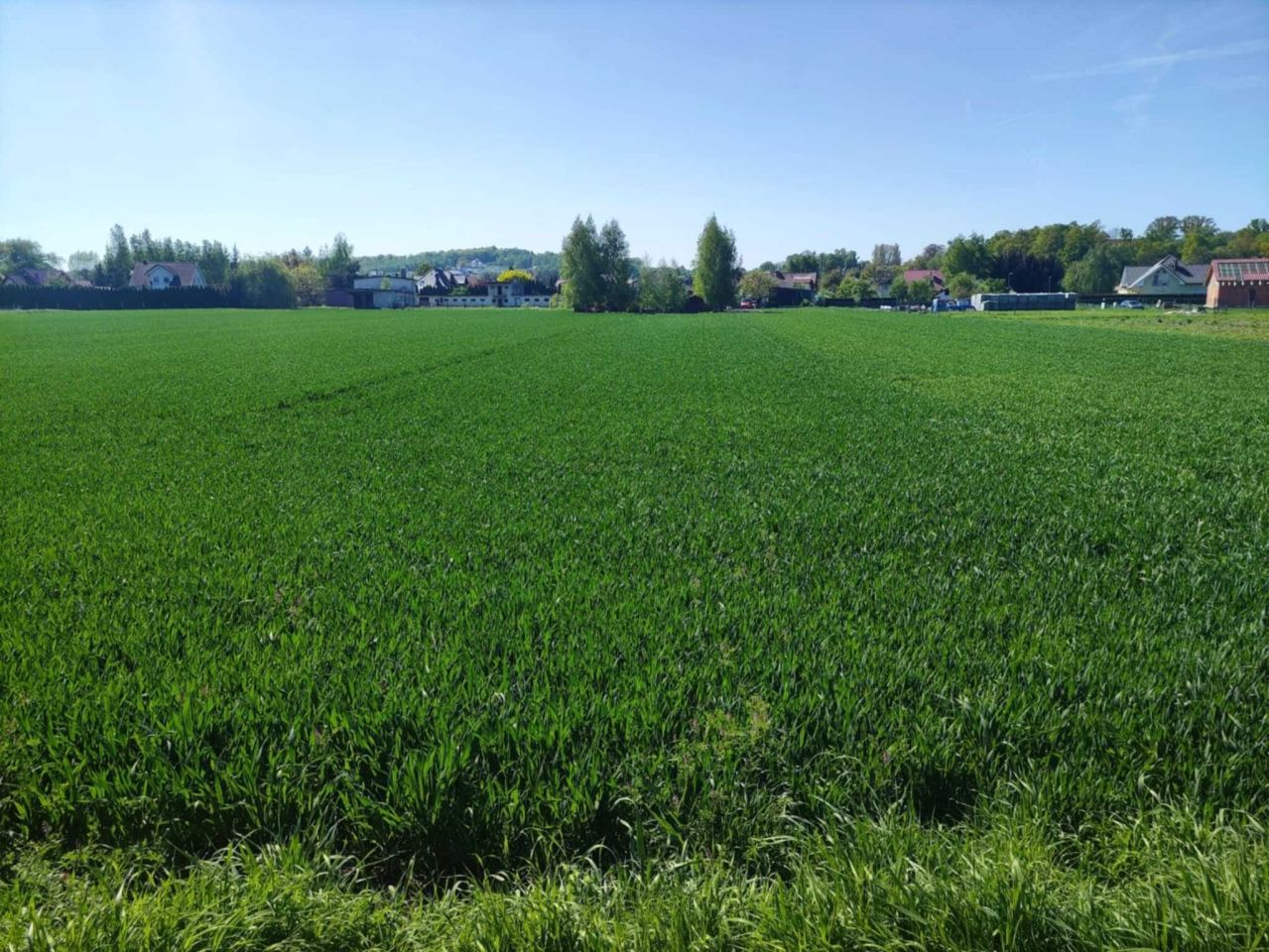 Działka budowlana Wierzbna. Zdjęcie 1