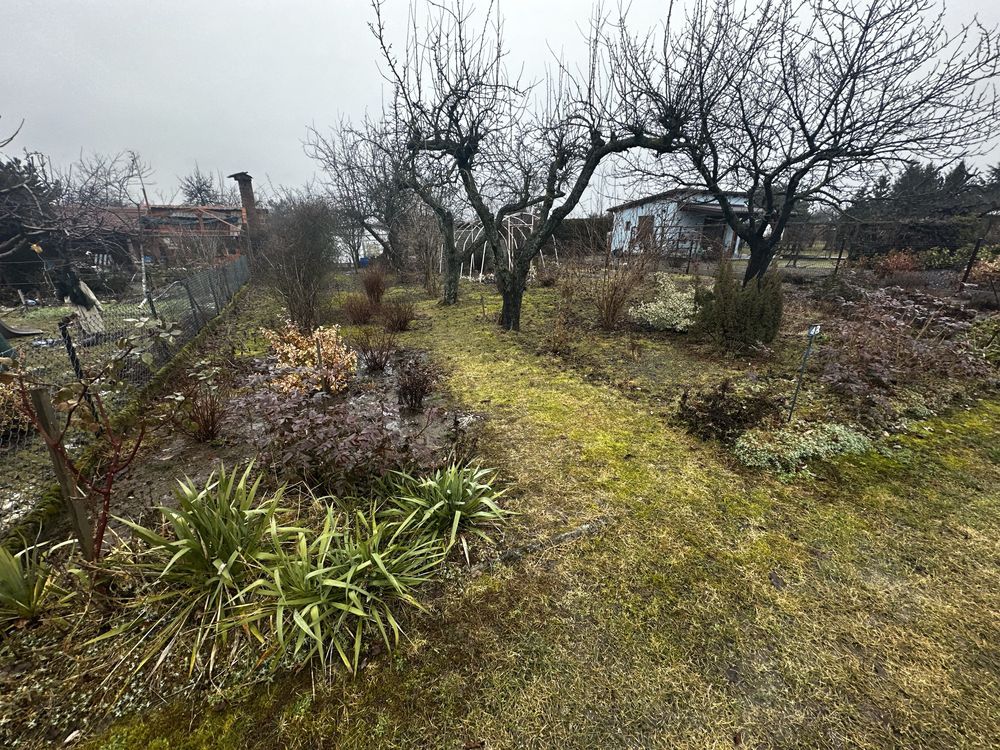 Działka rod Krotoszyn. Zdjęcie 3