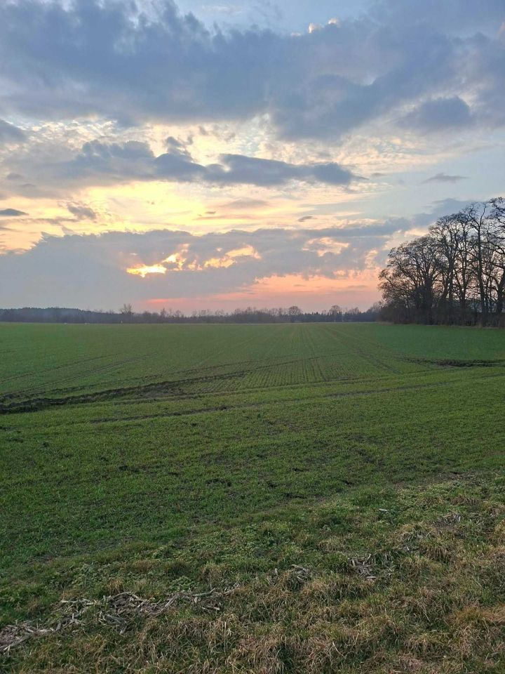 Działka budowlana Prusy. Zdjęcie 5