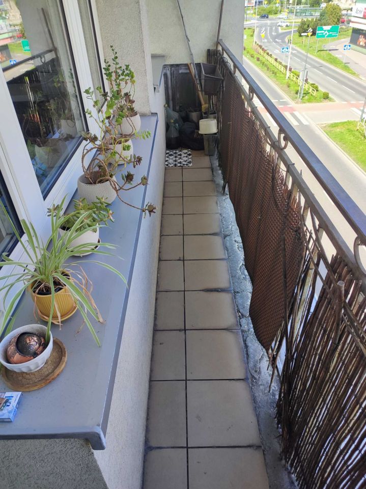 Mieszkanie 3-pokojowe Dąbrowa Górnicza Centrum, al. Tadeusza Kościuszki. Zdjęcie 8