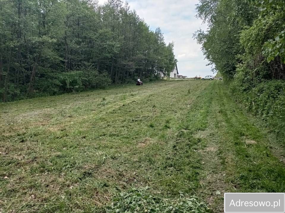 Działka inwestycyjna Ropczyce, ul. Borki Chechelskie. Zdjęcie 5