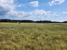 Działka rolna Joniec-Kolonia. Zdjęcie 1