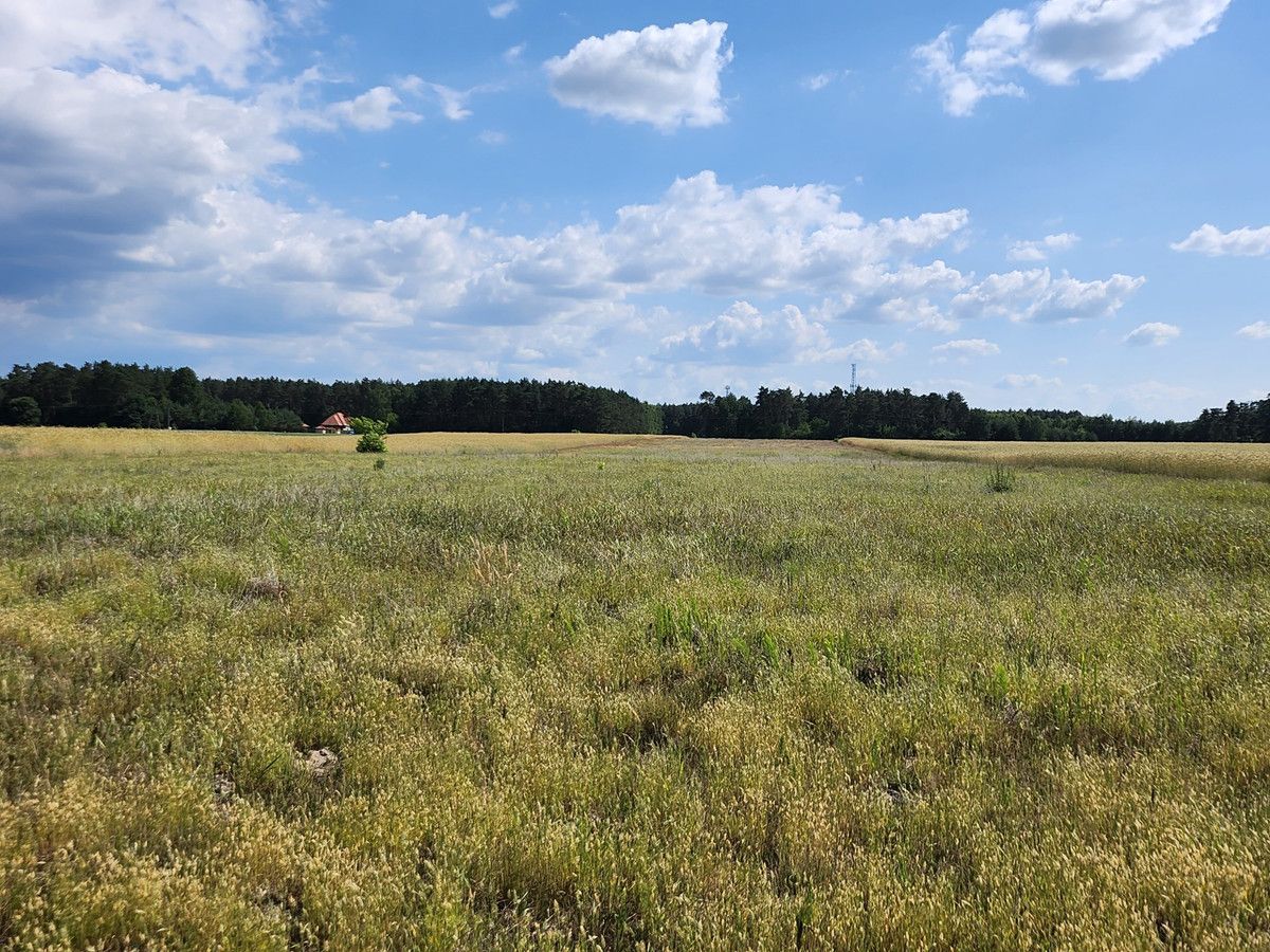 Działka rolna Joniec-Kolonia. Zdjęcie 2