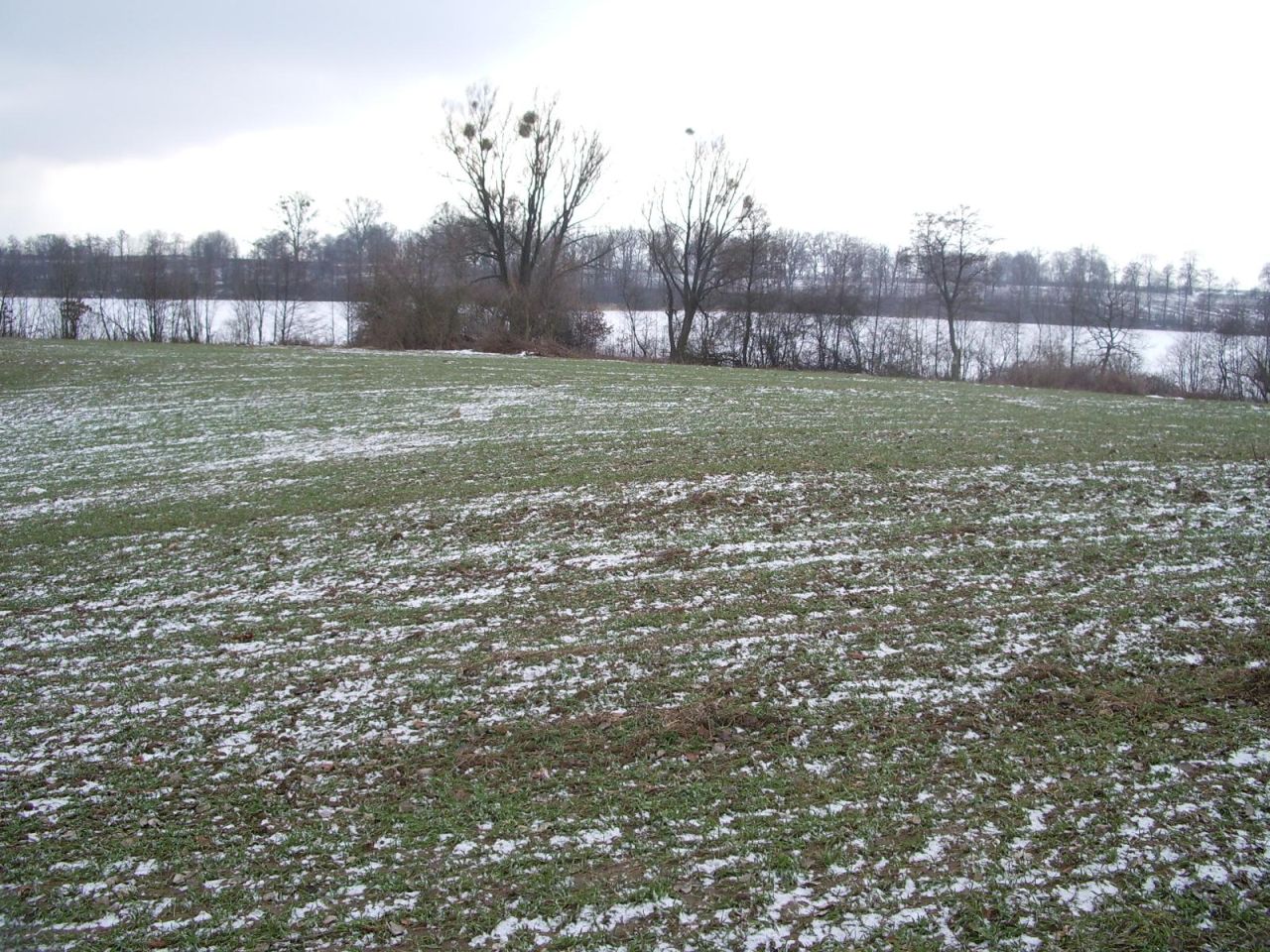 Działka rolna Kaszewo. Zdjęcie 2