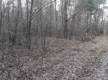 Działka inna Stare Załucze. Zdjęcie 1