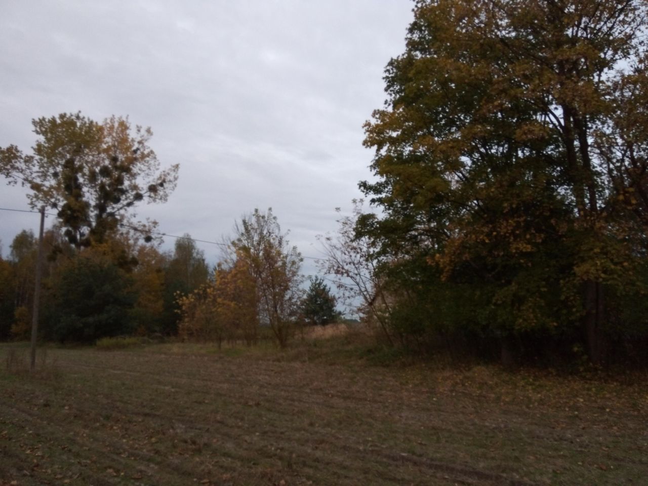 Działka rolno-budowlana Ławeczko Stare. Zdjęcie 7