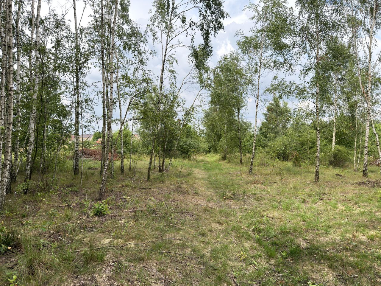 Działka budowlana Węgrzynów, pogodna. Zdjęcie 11