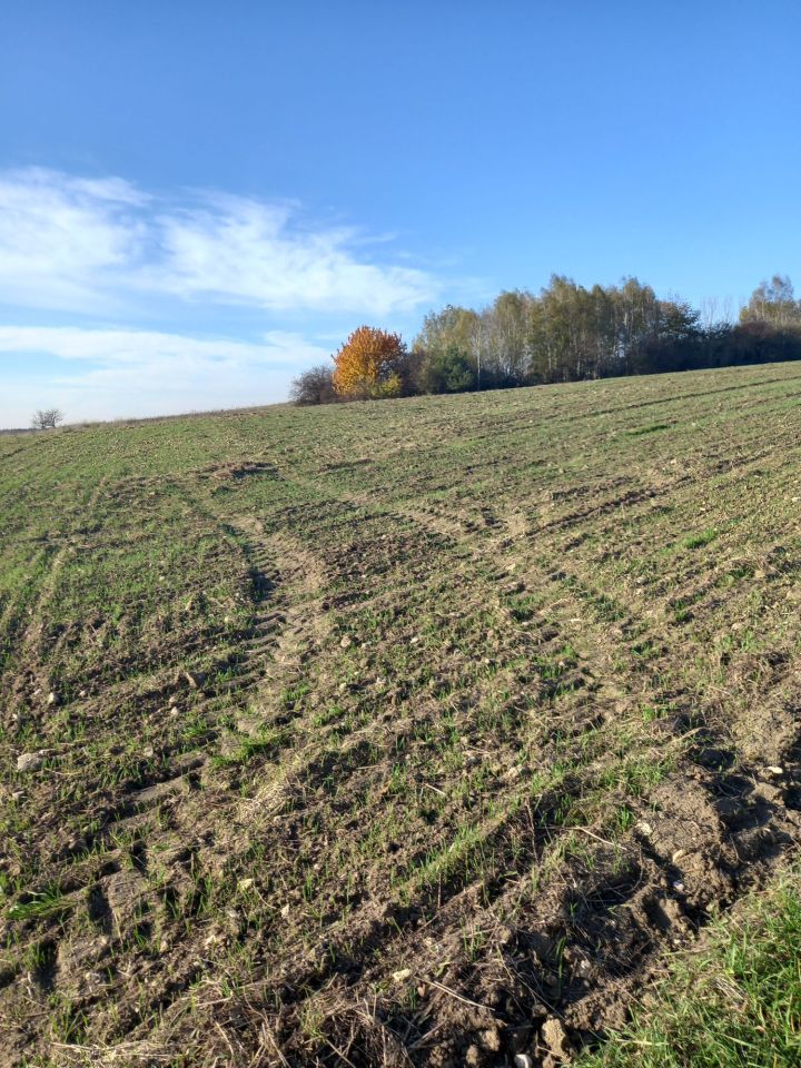 Działka rolna Chomentów. Zdjęcie 6
