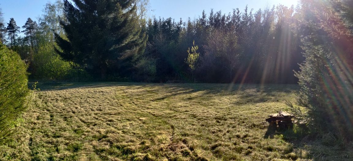 Działka rekreacyjna Jagielno. Zdjęcie 3