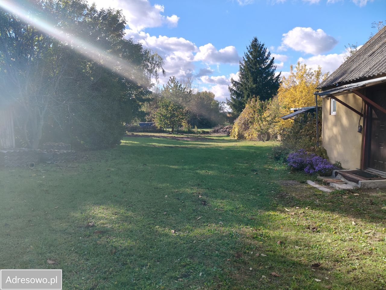 Działka siedliskowa Telaki. Zdjęcie 2