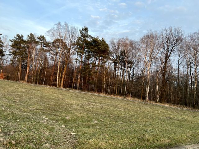 Działka budowlana Wilkowiczki, ul. Osiedlowa. Zdjęcie 1