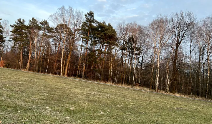 Działka budowlana Wilkowiczki, ul. Osiedlowa