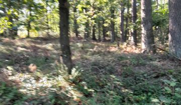 Działka rolna Garczegorze