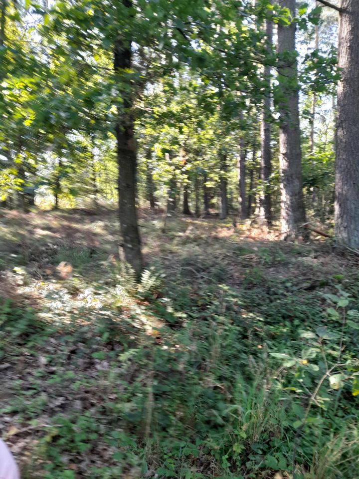 Działka rolna Garczegorze. Zdjęcie 2