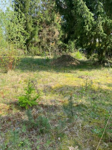 Działka rekreacyjna Piskórka. Zdjęcie 1