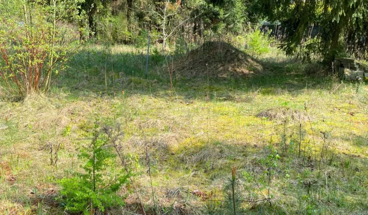 Działka rekreacyjna Piskórka