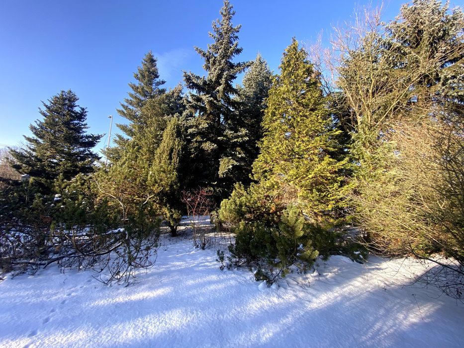 dom wolnostojący Stanisławów Pierwszy. Zdjęcie 5