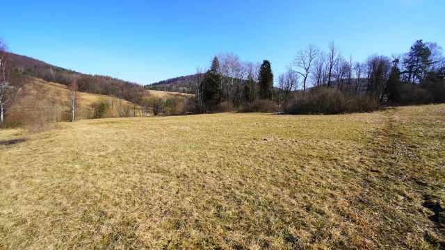 Działka rolna Regietów. Zdjęcie 5