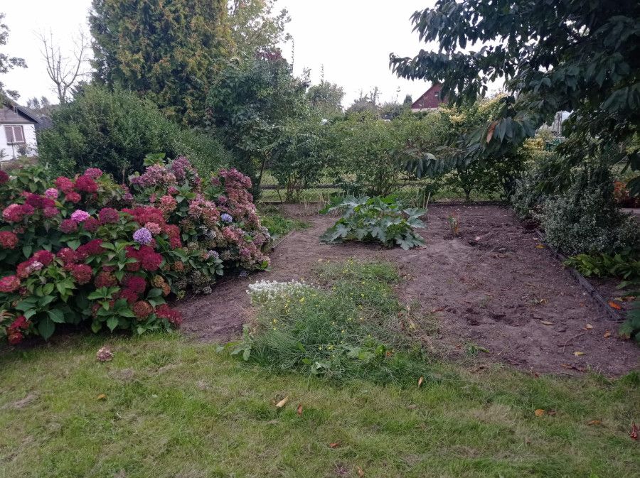 Działka rod Gdynia Oksywie, ul. Belwederska. Zdjęcie 7