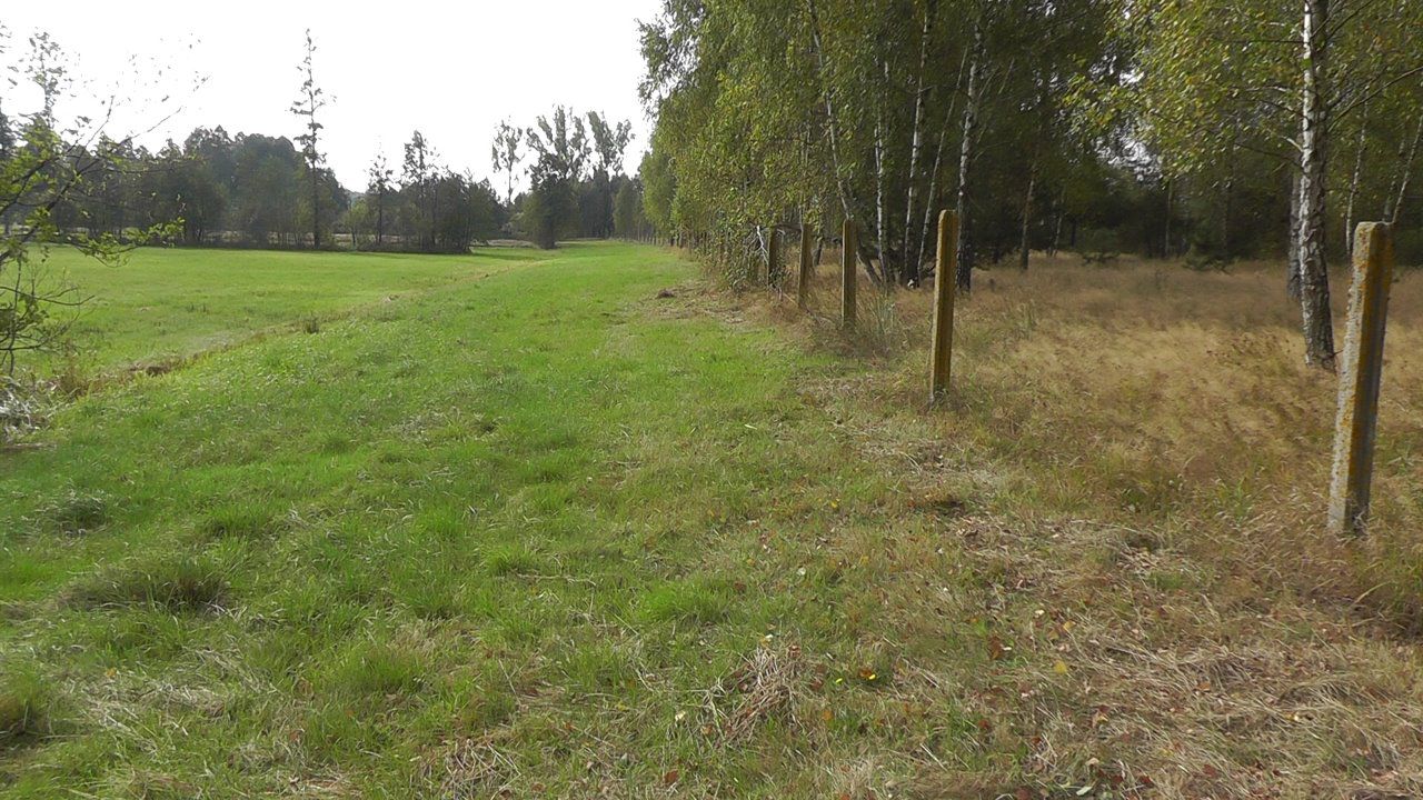 Działka inwestycyjna Zabłocie-Kolonia. Zdjęcie 8