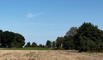 Działka rolno-budowlana Chotynia Karolinów