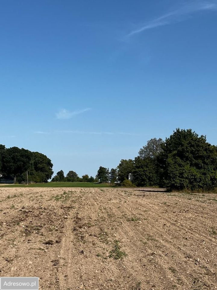 Działka rolno-budowlana Chotynia Karolinów