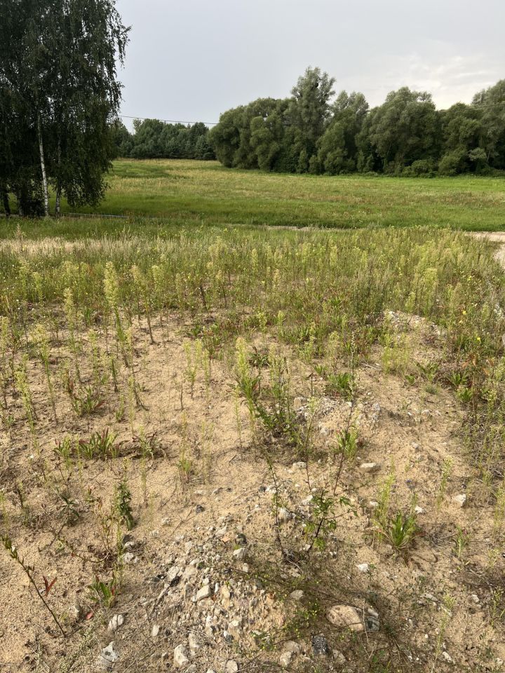 Działka budowlana Kominy. Zdjęcie 9