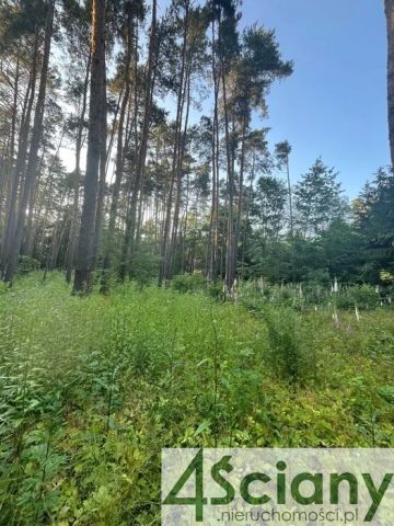 Działka rekreacyjna Władysławów. Zdjęcie 2