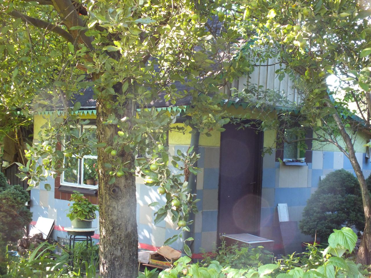 Działka rod Siemianowice Śląskie, ul. Katowicka. Zdjęcie 2