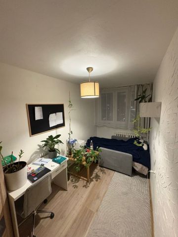 Mieszkanie 2-pokojowe Wrocław Stare Miasto. Zdjęcie 1