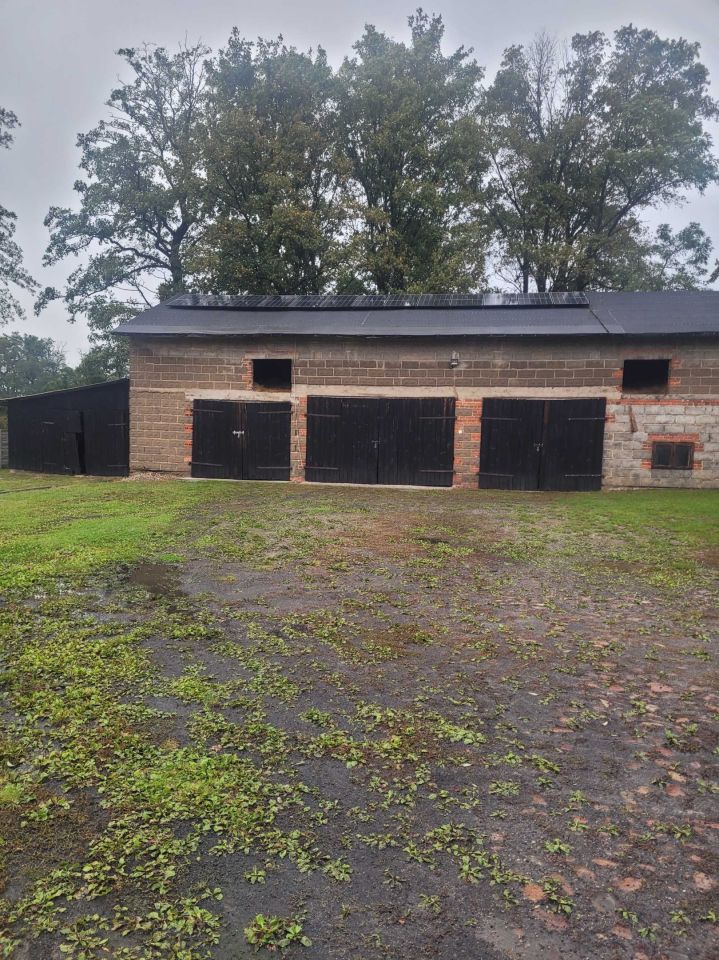 dom wolnostojący Wygoda. Zdjęcie 3