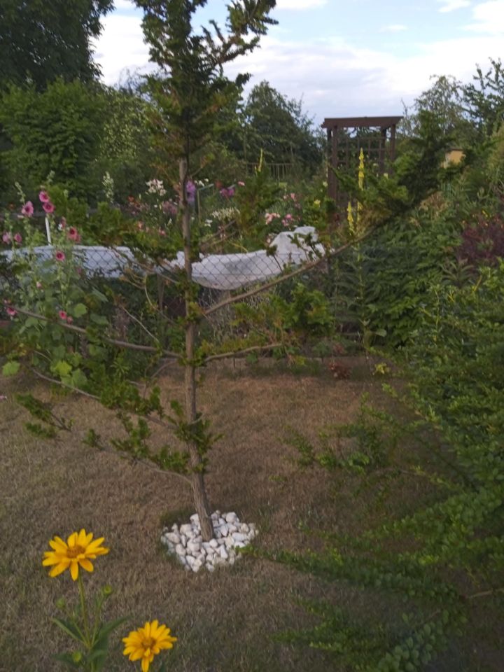 Działka rekreacyjna Zielona Góra, ul. Francuska