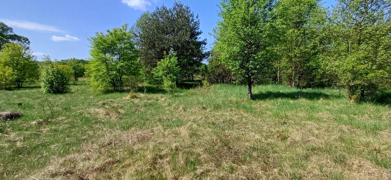 Działka rolna Skronina. Zdjęcie 2