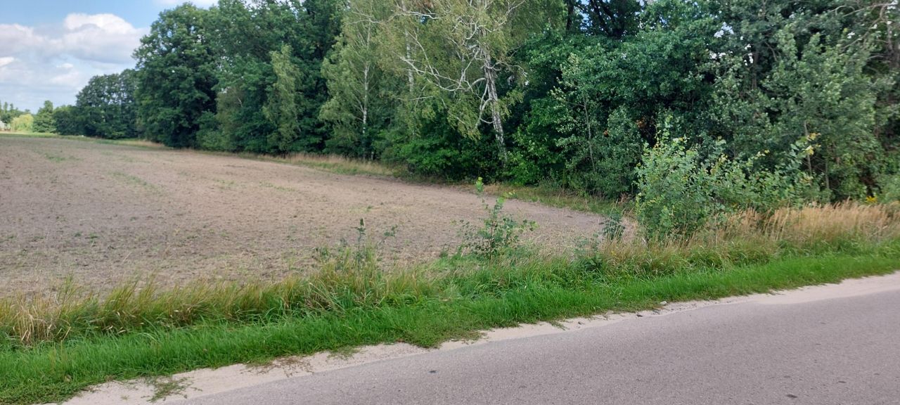 Działka budowlana Wołyń, ul. Akacjowa. Zdjęcie 6