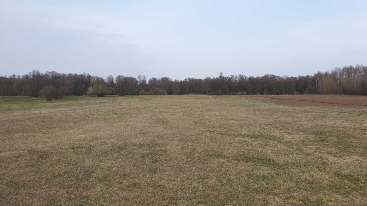 Działka rolna Królewo. Zdjęcie 3