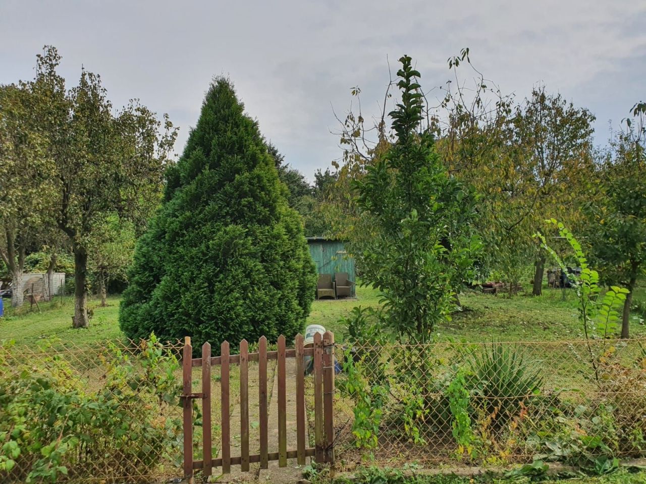 Działka rod Legnica. Zdjęcie 8