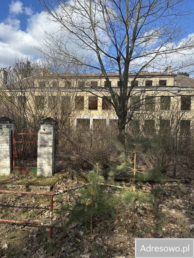 Działka inwestycyjna Wólka Okrąglik. Zdjęcie 2