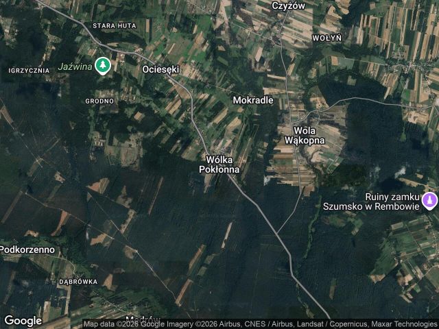 Działka leśna Wólka Pokłonna. Zdjęcie 1